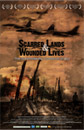 11 x 17 Scarred Lands Poster